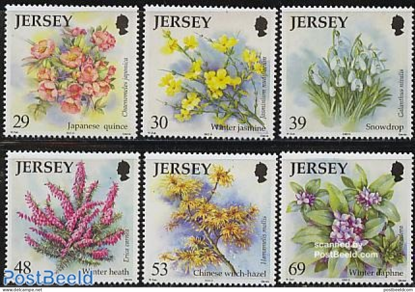 Jersey 2003 Winter Flowers 6v, Mint NH, Nature - Flowers & Plants - Jersey