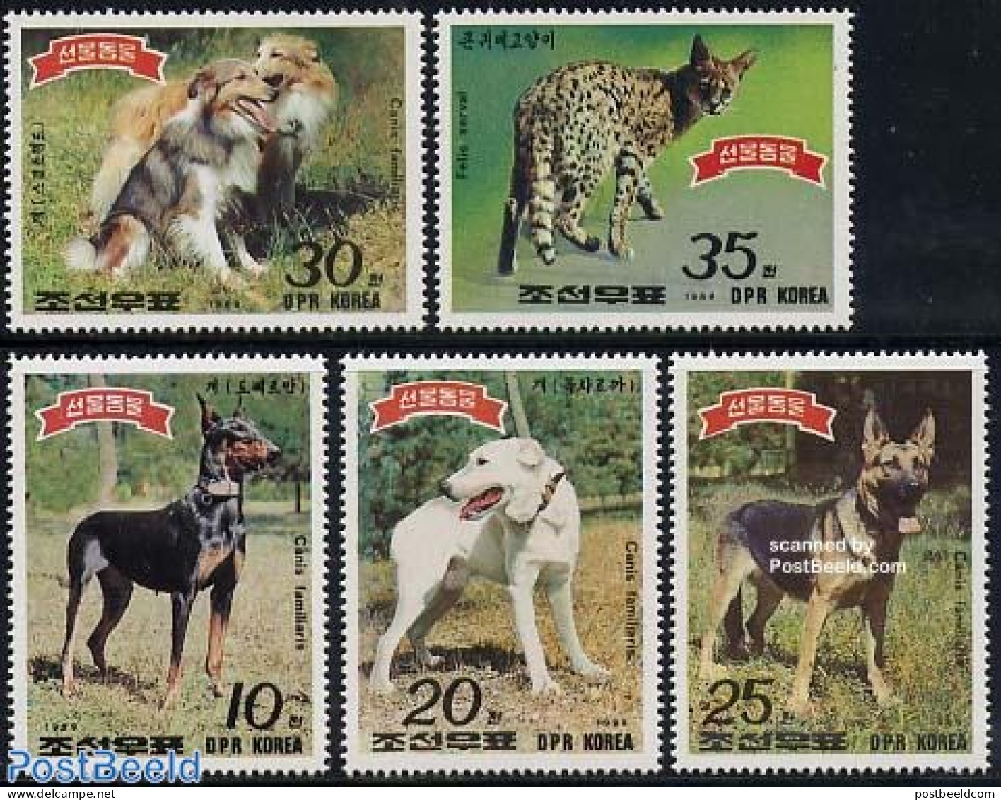 Korea, North 1989 Dogs & Cats 5v, Mint NH, Nature - Cats - Dogs - Corea Del Norte