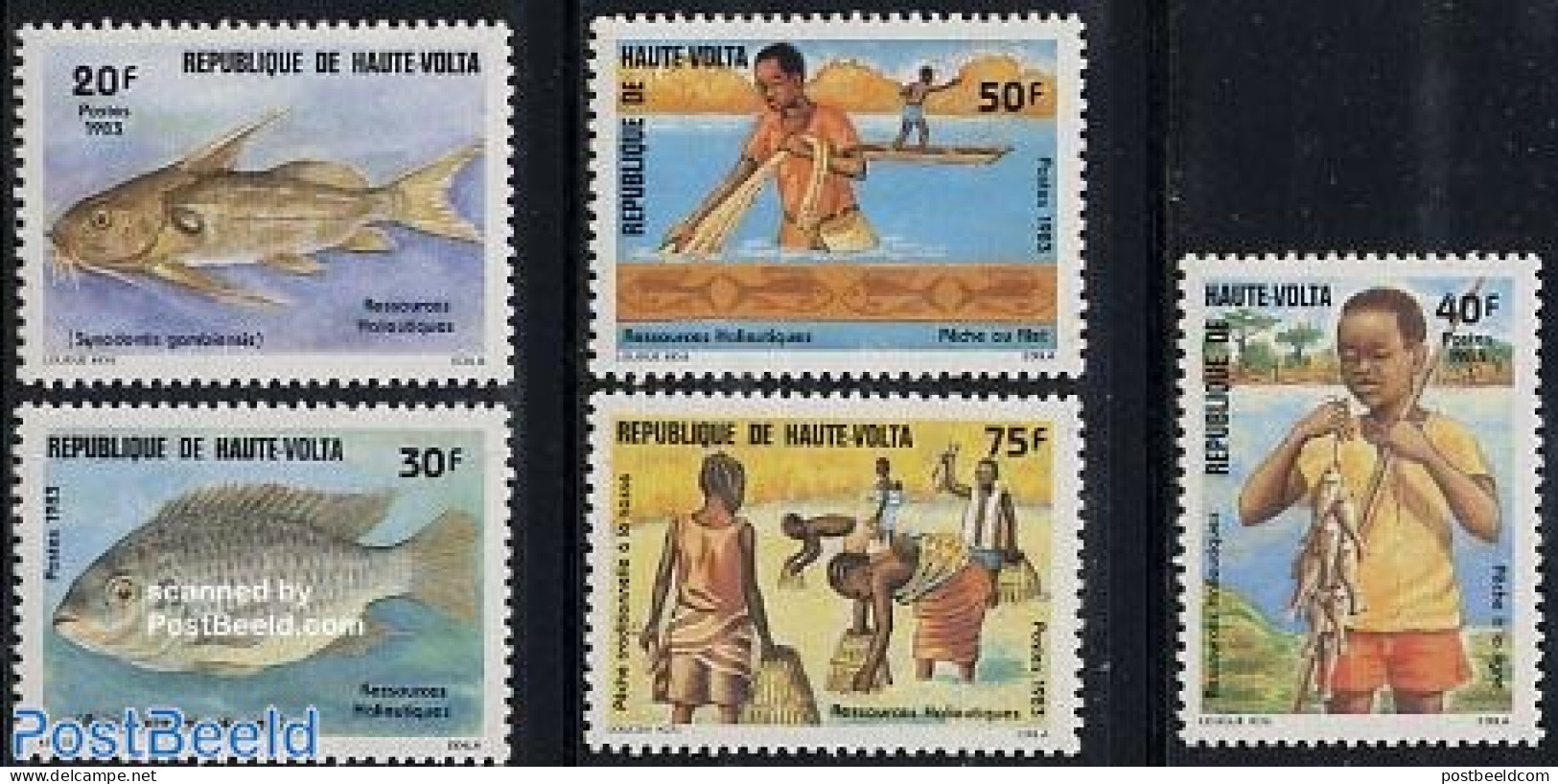 Upper Volta 1983 Fishing 5v, Mint NH, Nature - Fish - Fishing - Poissons