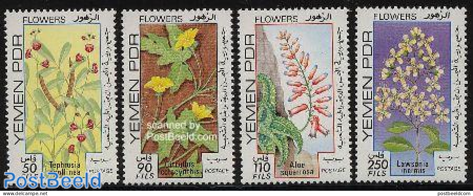 Yemen, South 1981 Flowers 4v, Mint NH, Nature - Flowers & Plants - Andere & Zonder Classificatie