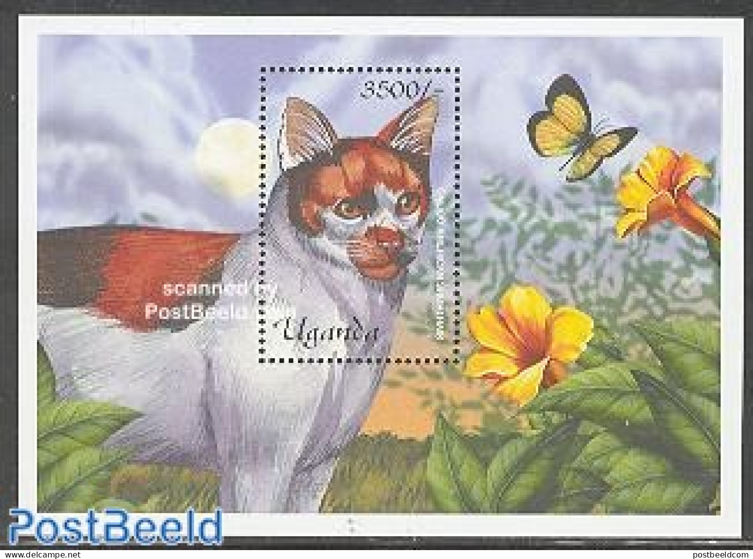 Uganda 2001 Cats S/s, Calico Americana, Mint NH, Nature - Butterflies - Cats - Other & Unclassified