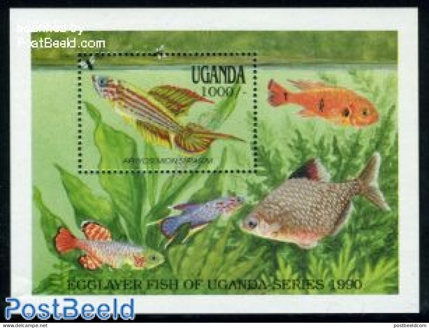 Uganda 1991 Fish S/s, Aphyosemion Striatum, Mint NH, Nature - Fish - Fische