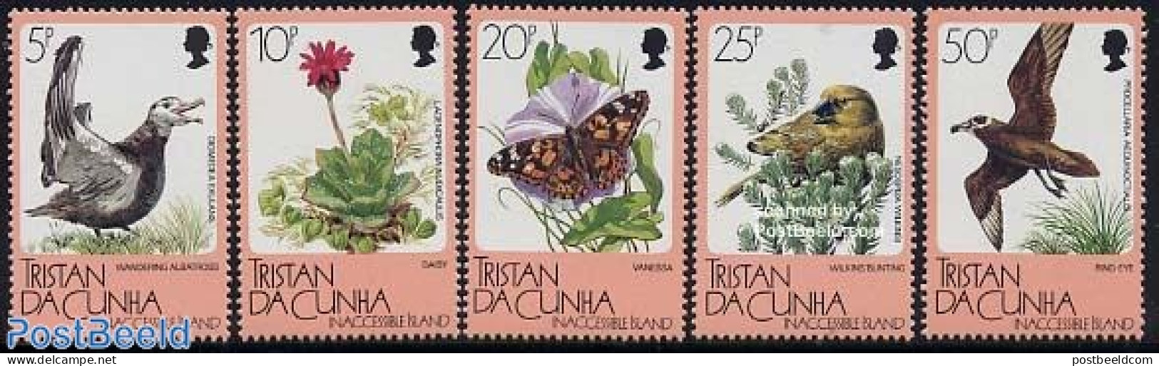 Tristan Da Cunha 1986 Inaccessible Island 5v, Mint NH, Nature - Animals (others & Mixed) - Birds - Butterflies - Flowe.. - Tristan Da Cunha