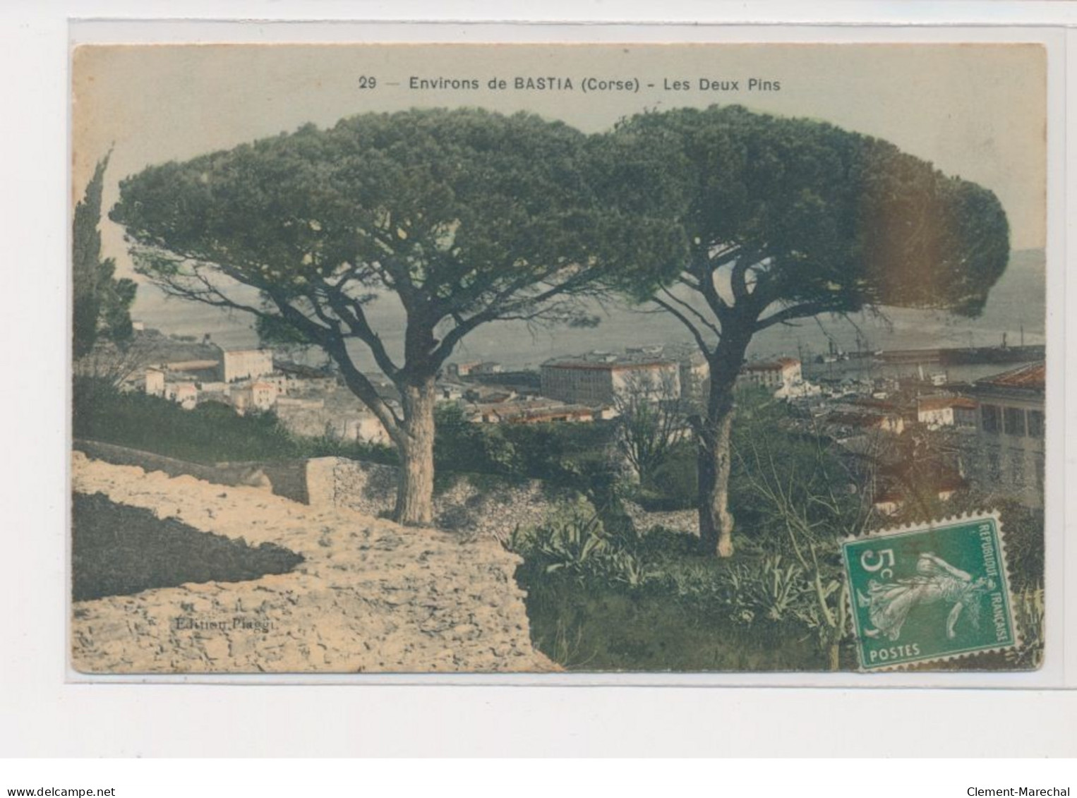 BASTIA - Environs De Bastia - Les Deux Pins - Rare En Couleur - Très Bon état - Bastia