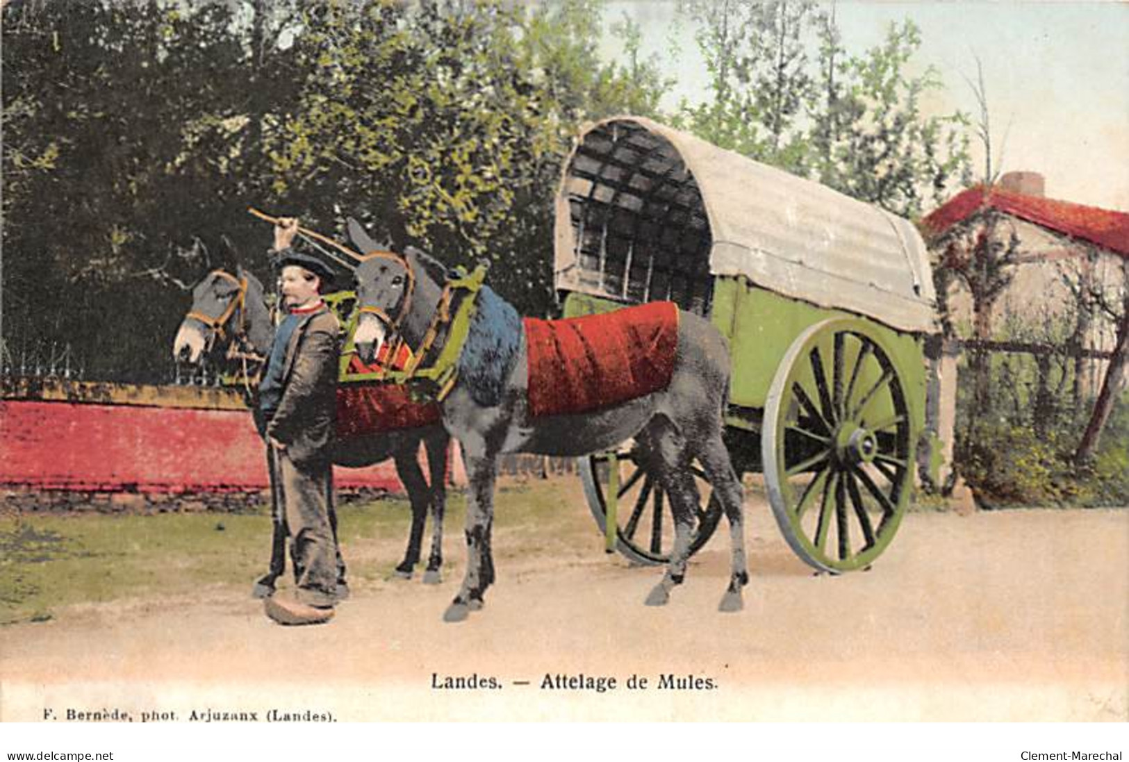 Landes - Attelage De Mules - Très Bon état - Andere & Zonder Classificatie