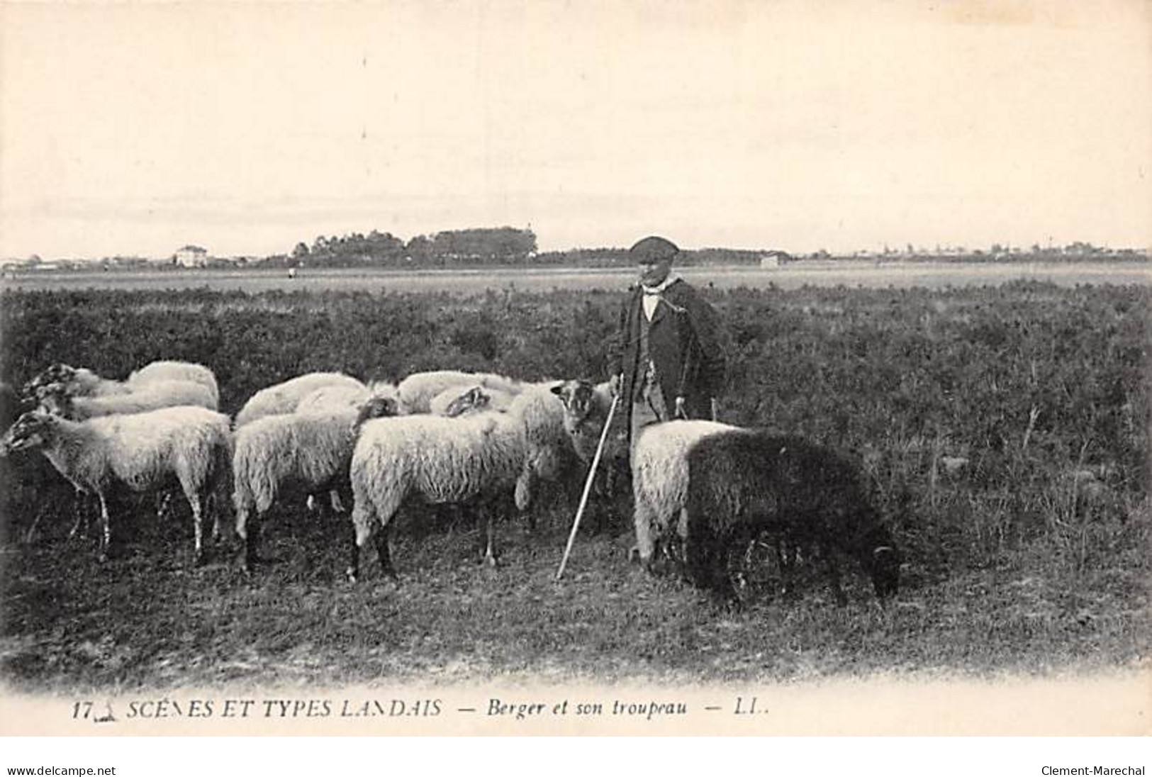 SCENES ET TYPES LANDAIS - Berger Et Son Troupeau - Très Bon état - Sonstige & Ohne Zuordnung