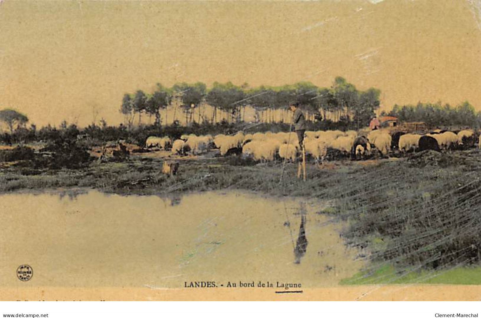 LANDES - Au Bord De La Lagune - Très Bon état - Andere & Zonder Classificatie