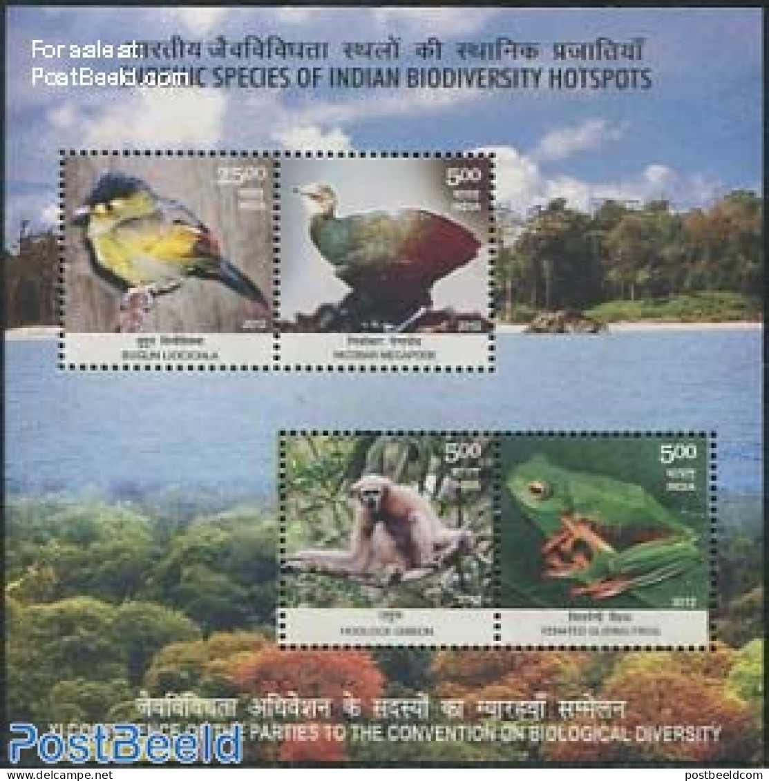 India 2012 Endemic Species Of Biodiversity Hotspots S/s, Mint NH, Nature - Animals (others & Mixed) - Birds - Frogs & .. - Neufs