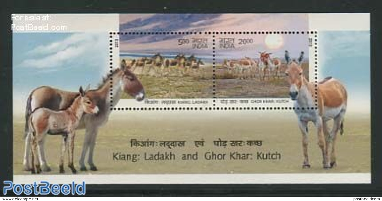 India 2013 Donkeys S/s, Mint NH, Nature - Animals (others & Mixed) - Neufs