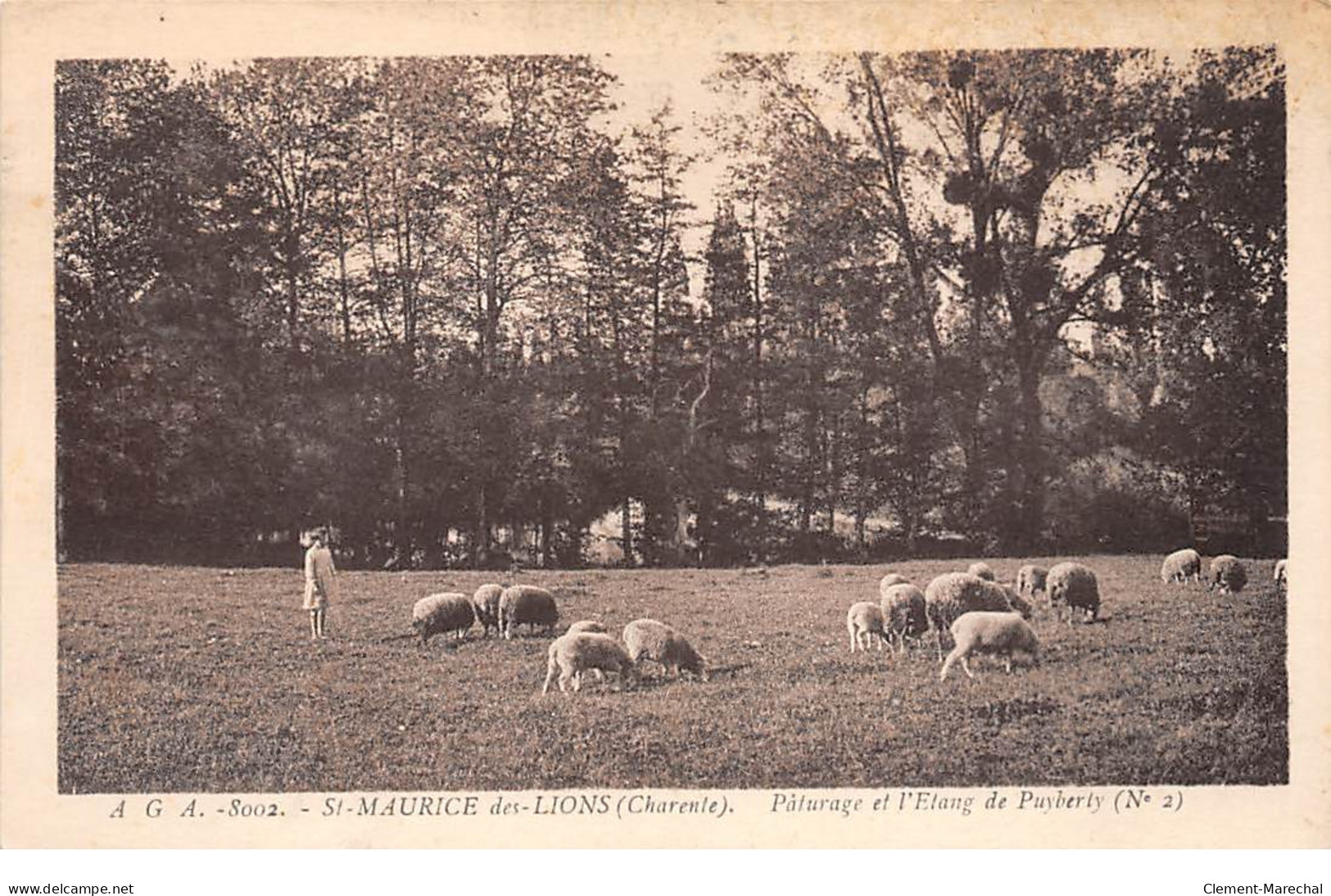 SAINT MAURICE DES LIONS - Pâturage Et L'Etang De Puyberly - Très Bon état - Sonstige & Ohne Zuordnung