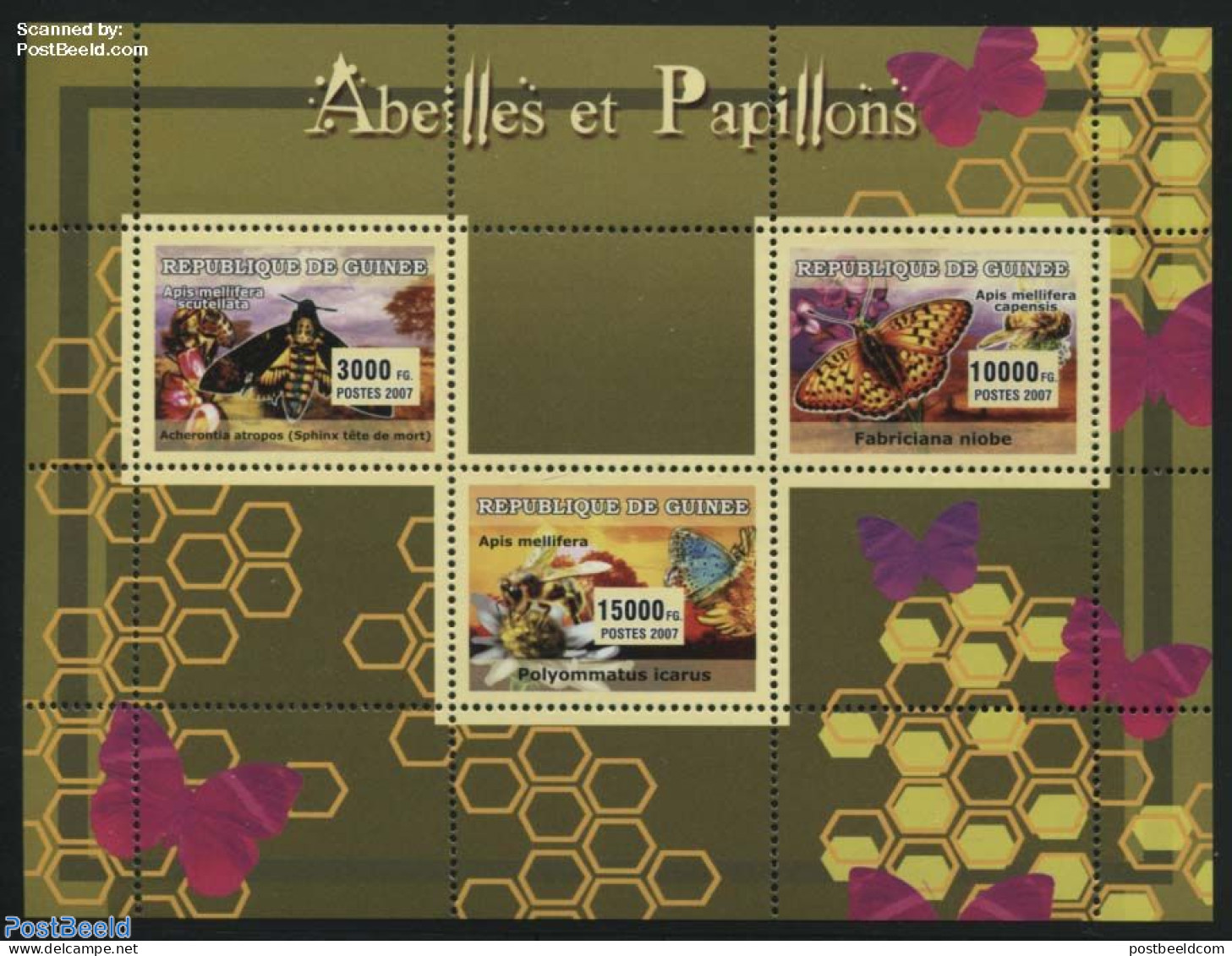 Guinea, Republic 2007 Bess And Butterflies 3v M/s, Mint NH, Nature - Bees - Butterflies - Andere & Zonder Classificatie