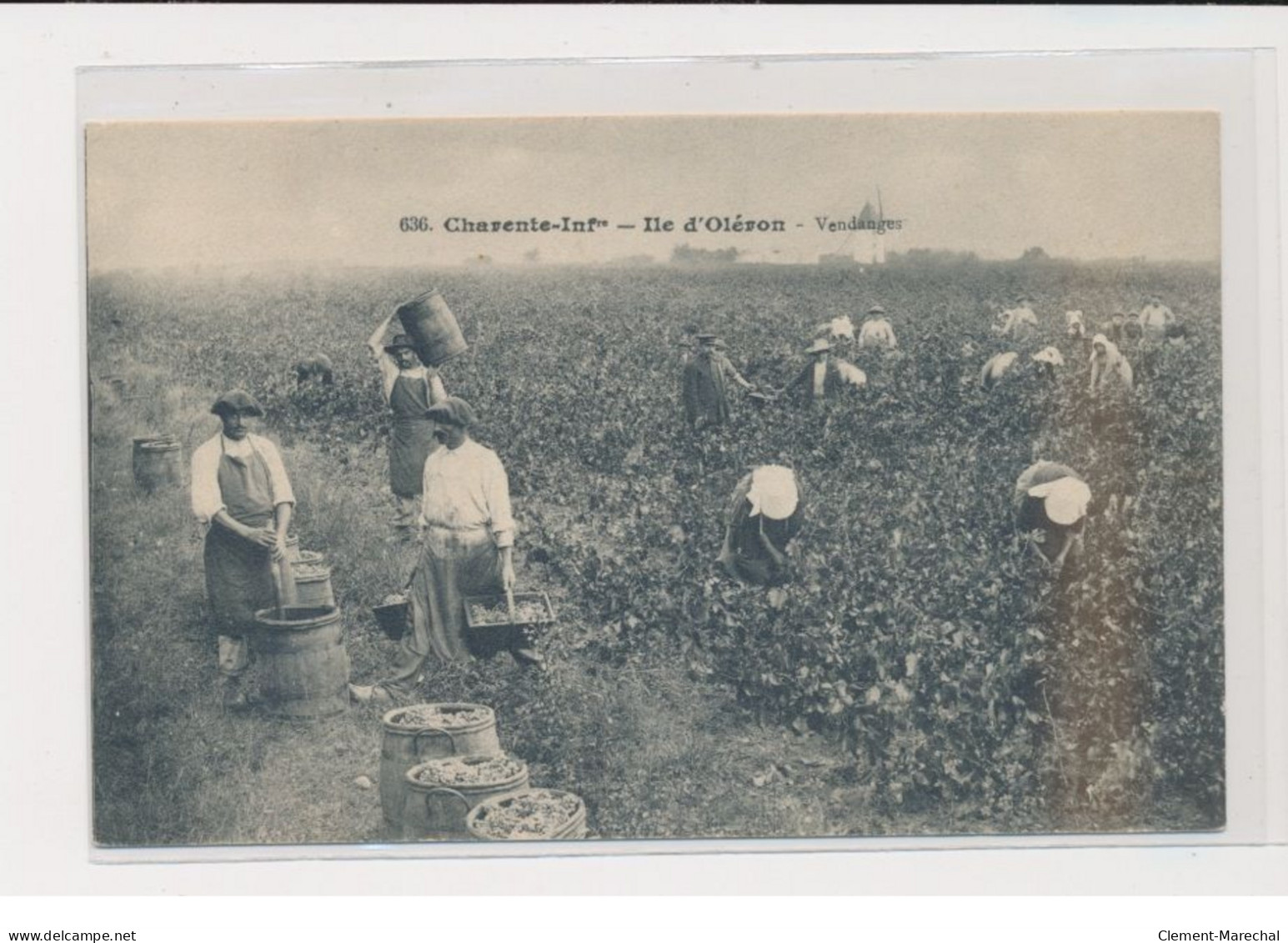 ILE D'OLERON - Vendanges - Très Bon état - Ile D'Oléron