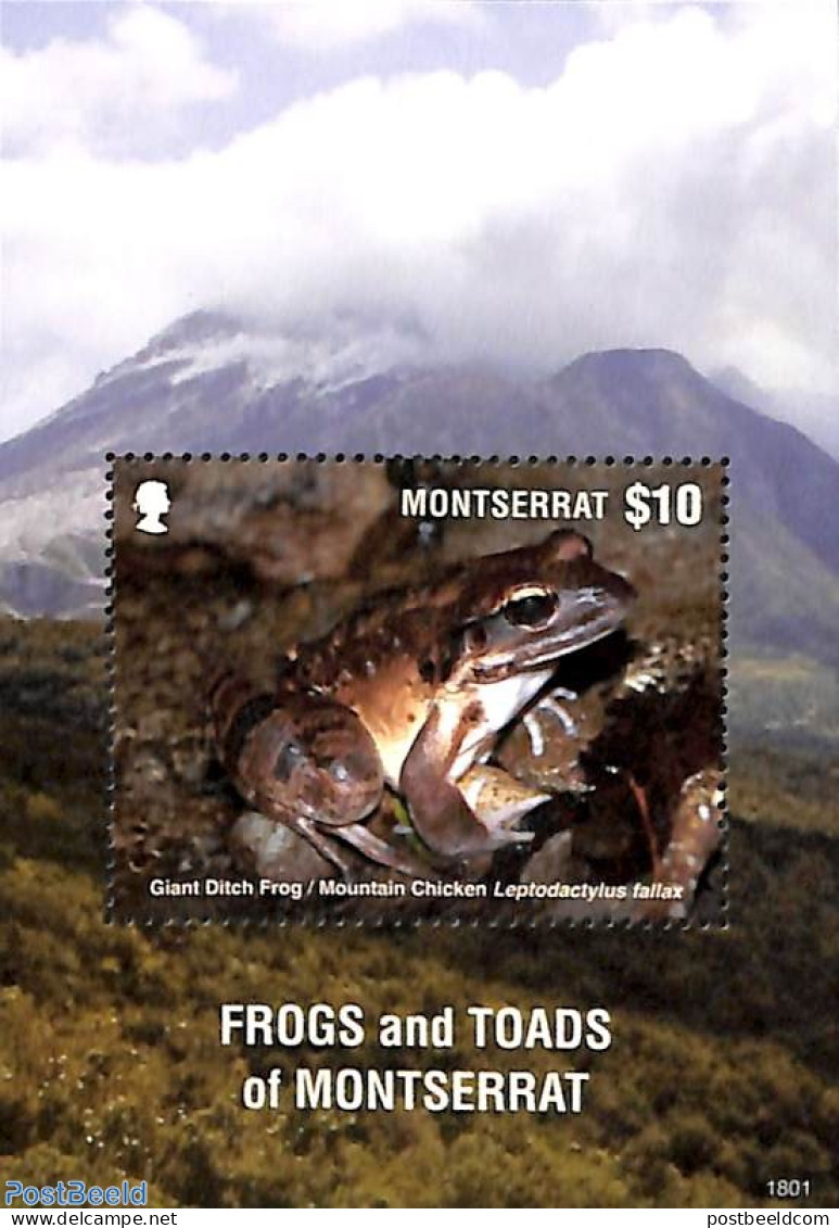 Montserrat 2018 Frogs S/s, Mint NH, Nature - Animals (others & Mixed) - Frogs & Toads - Reptiles - Autres & Non Classés