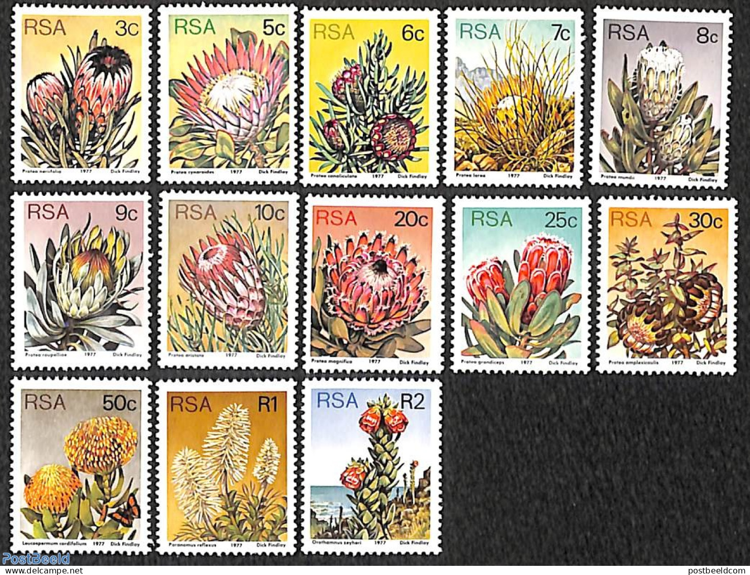 South Africa 1977 Flowers 13v, Perf.  14, Mint NH, Nature - Flowers & Plants - Unused Stamps