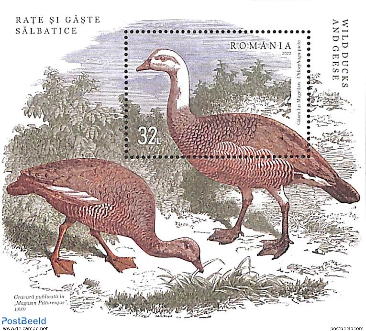 Romania 2022 Ducks & Gooses S/s, Mint NH, Nature - Birds - Ducks - Neufs