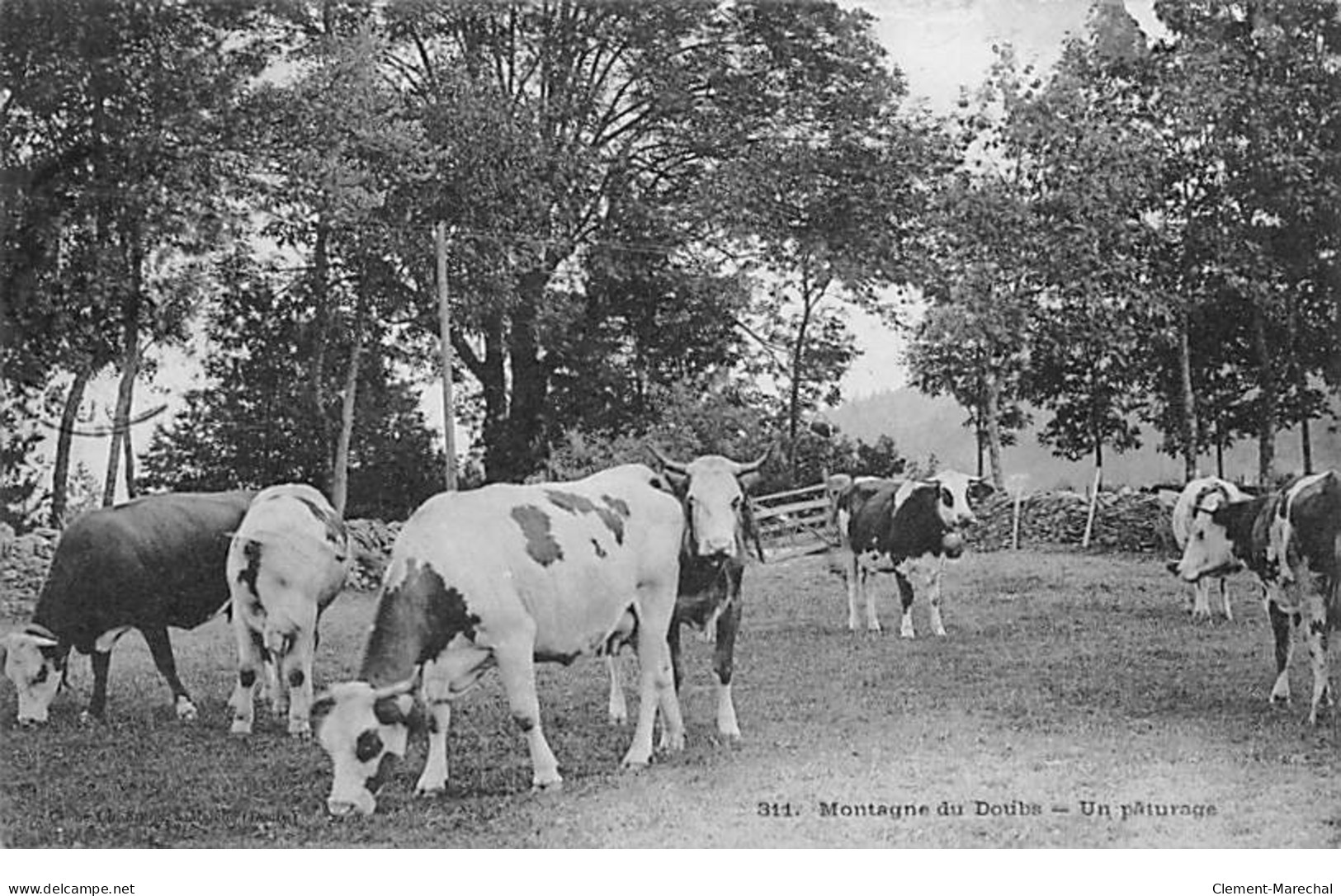 Montagnes Du Doubs - Un Pâturage - Très Bon état - Autres & Non Classés