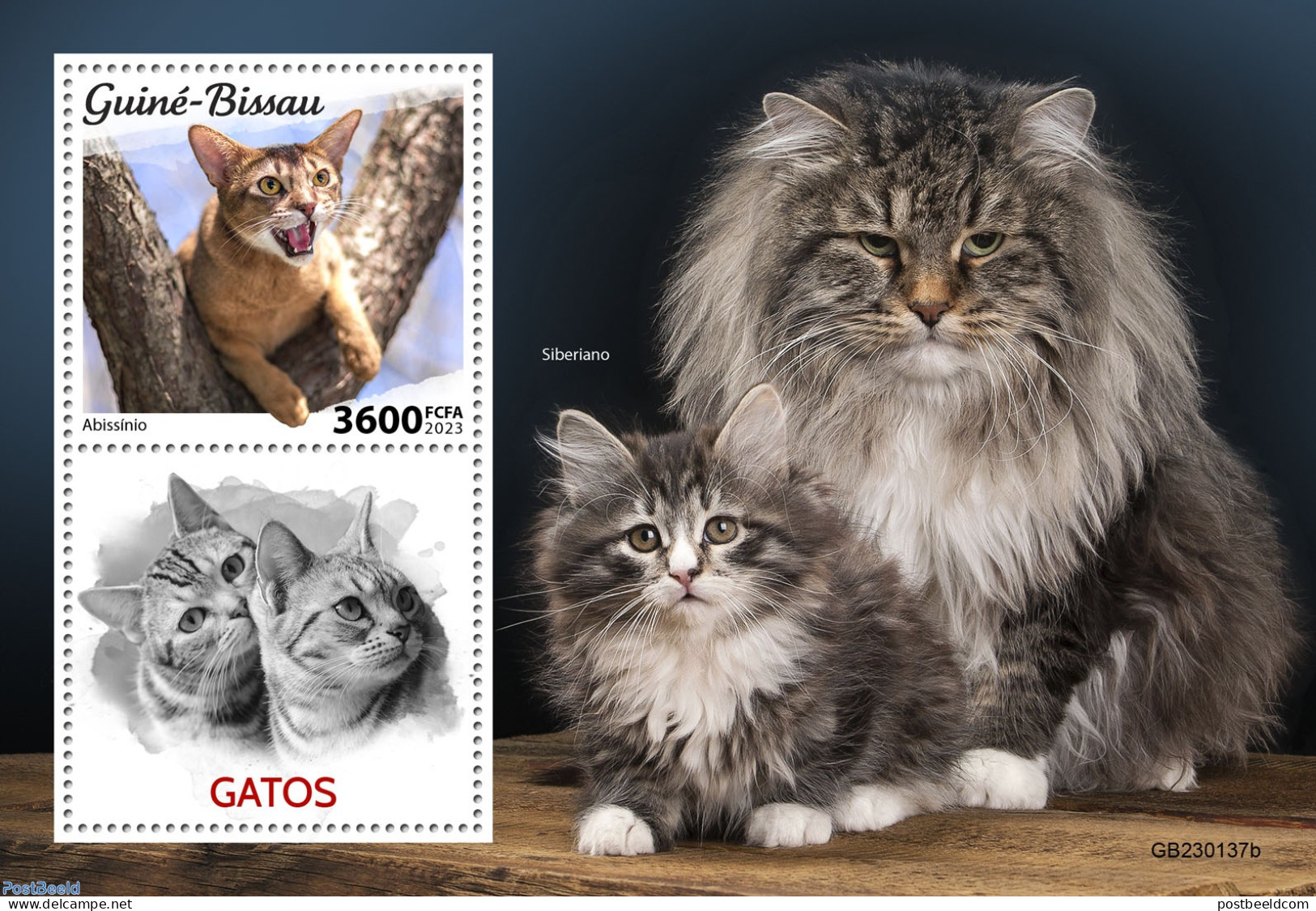 Guinea Bissau 2023 Cats, Mint NH, Nature - Cats - Guinée-Bissau