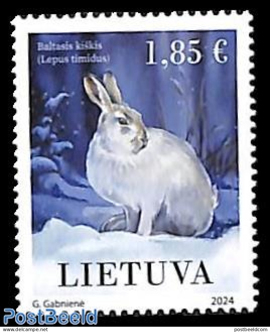 Lithuania 2024 Rabbit 1v, Mint NH, Nature - Rabbits / Hares - Lituanie
