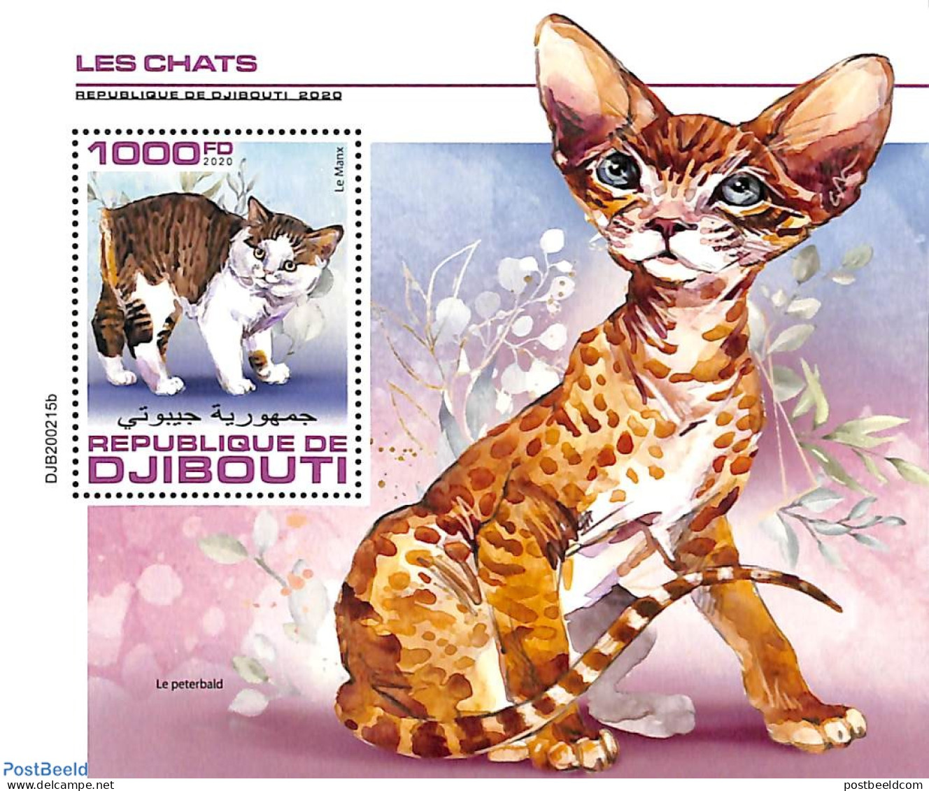 Djibouti 2020 Cats S/s, Mint NH, Nature - Cats - Dschibuti (1977-...)