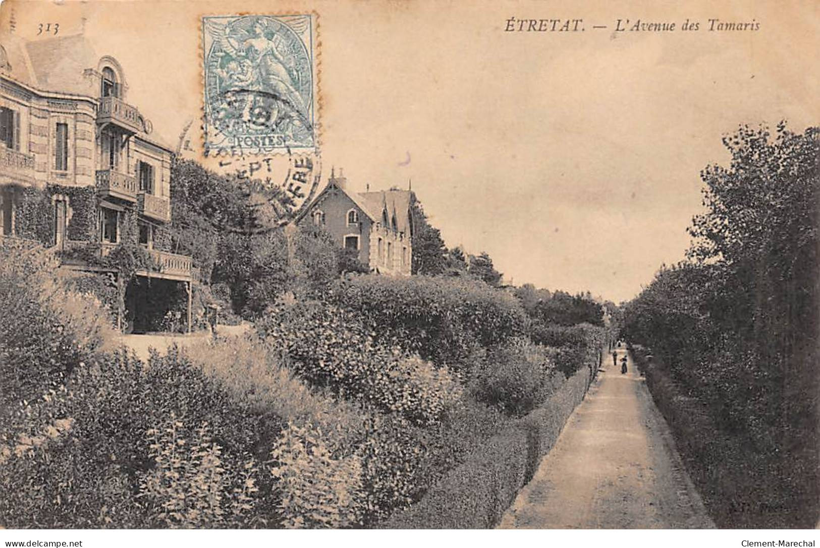 ETRETAT - L'Avenue Des Tamaris - Très Bon état - Etretat