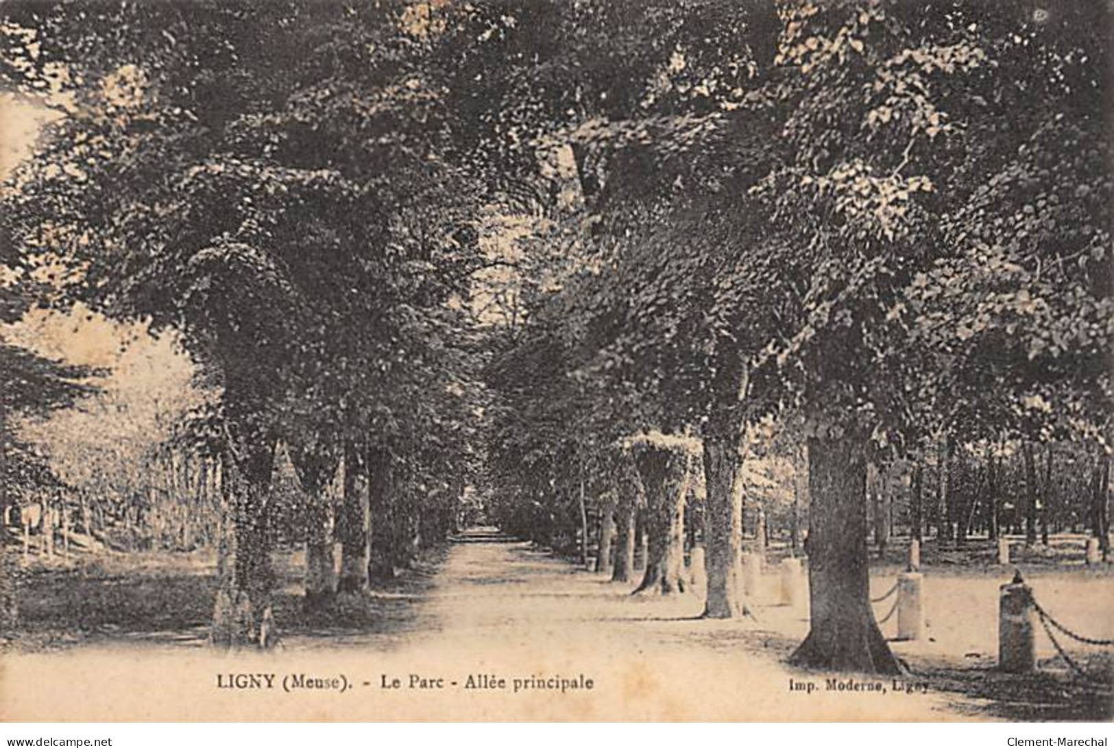 LIGNY - Le Parc - Allée Principale - Très Bon état - Ligny En Barrois