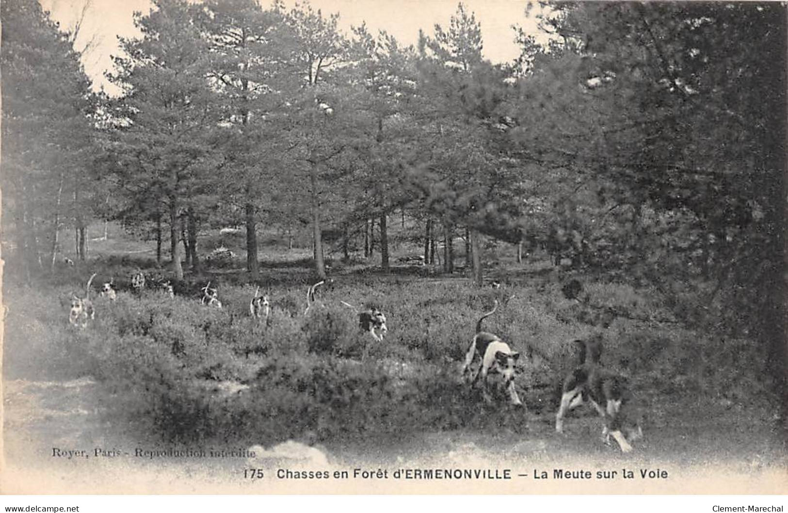 Chasses En Forêt D'ERMENONVILLE - La Meute Sur La Voie - Très Bon état - Ermenonville