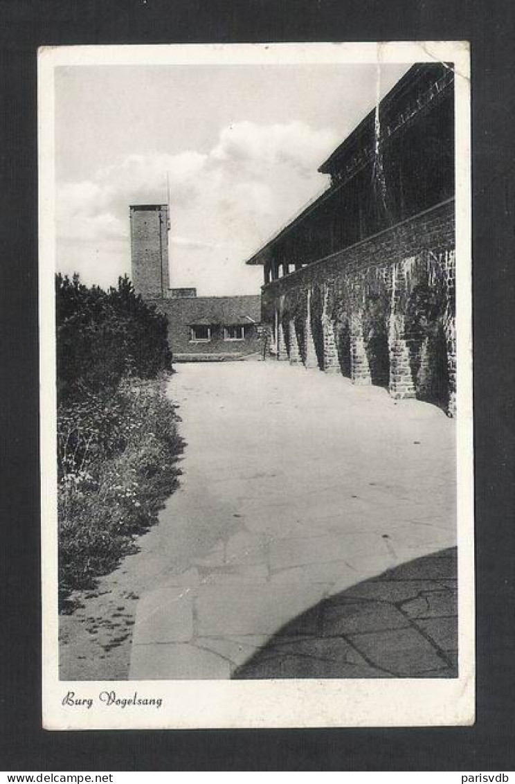 BURG  VOGELSANG  - ALTE KARTE / OUDE POSTKAART / VIEILLE CPA  (D 105) - Schleiden