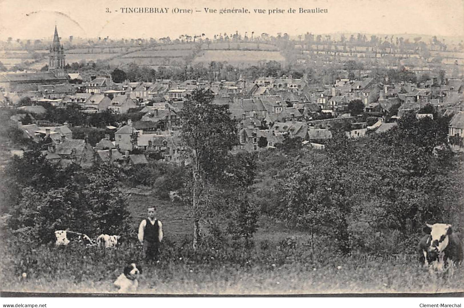 TINCHEBRAY - Vue Générale, Vue Prise De Beaulieu - Très Bon état - Sonstige & Ohne Zuordnung