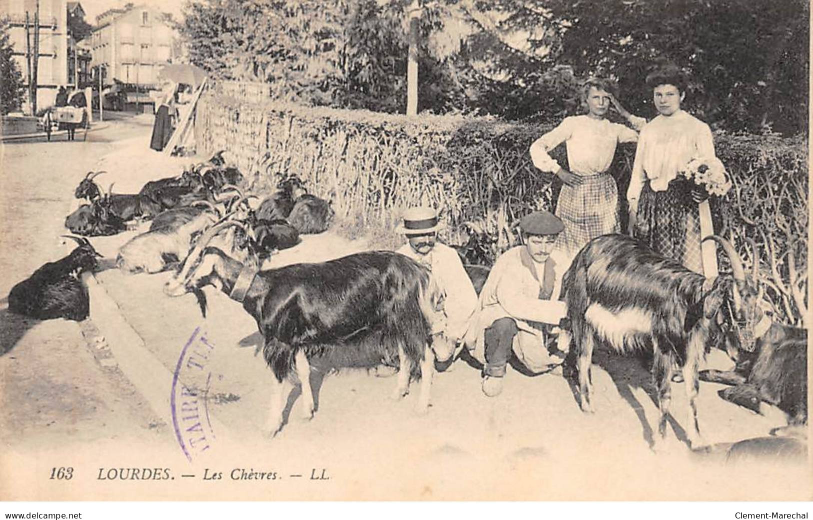 LOURDES - Les Chèvres - Très Bon état - Lourdes