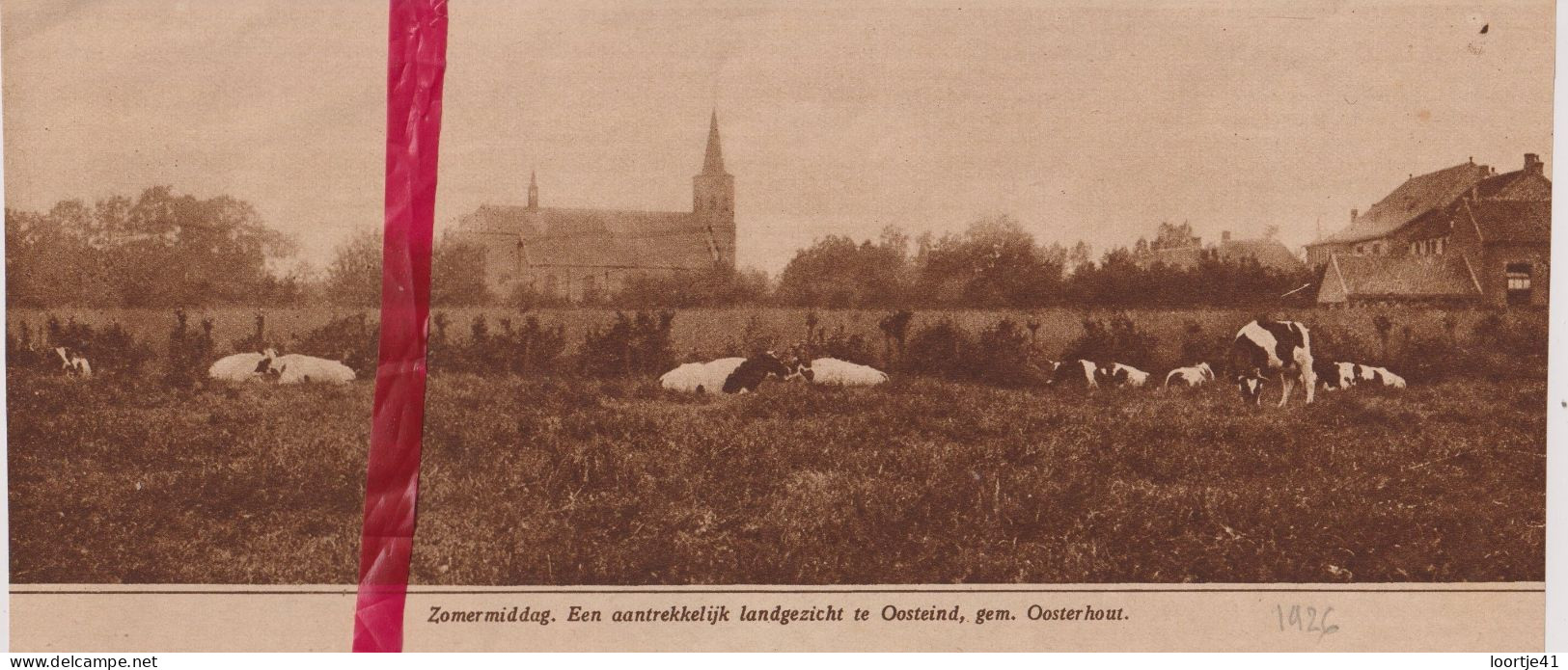 Panorama Oosteind  Oosterhout - Orig. Knipsel Coupure Tijdschrift Magazine - 1926 - Non Classés