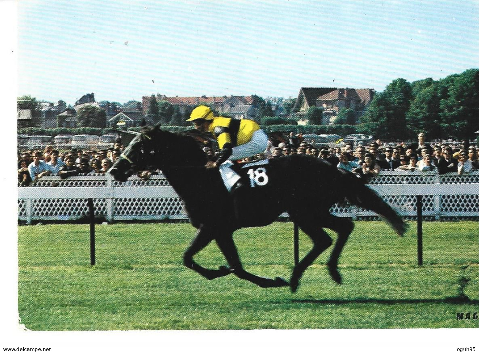 Hippisme à CHANTILLY (60) - Course Hippique  (gros Plan Sur Un Concurrent Et Public Au Bord De La Piste) - Hippisme