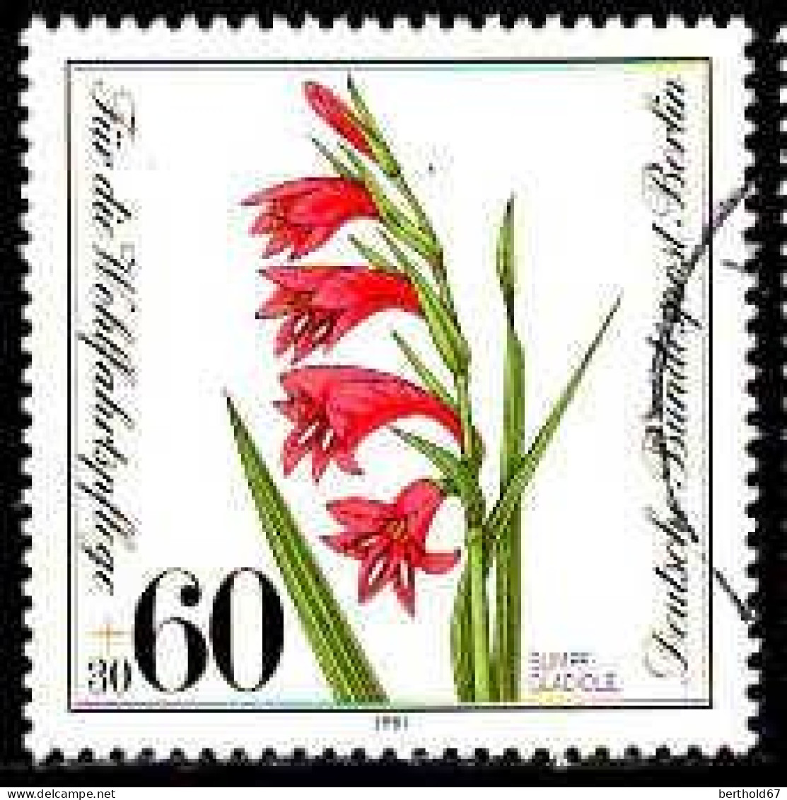 Berlin Poste Obl Yv:613 Mi:652 Sumpf-Gladiole Gladiolus Palustris (cachet Rond) - Used Stamps