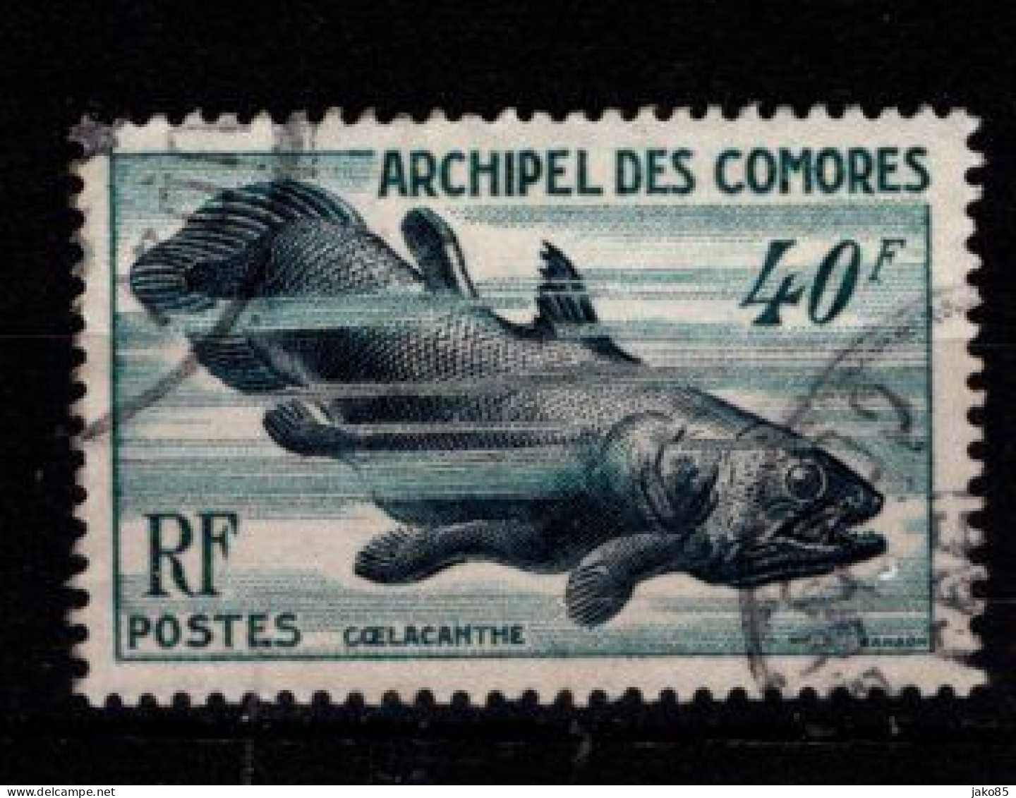 - COMORES - 1954 - YT N° 13 - Oblitéré - Faune Marine - Used Stamps