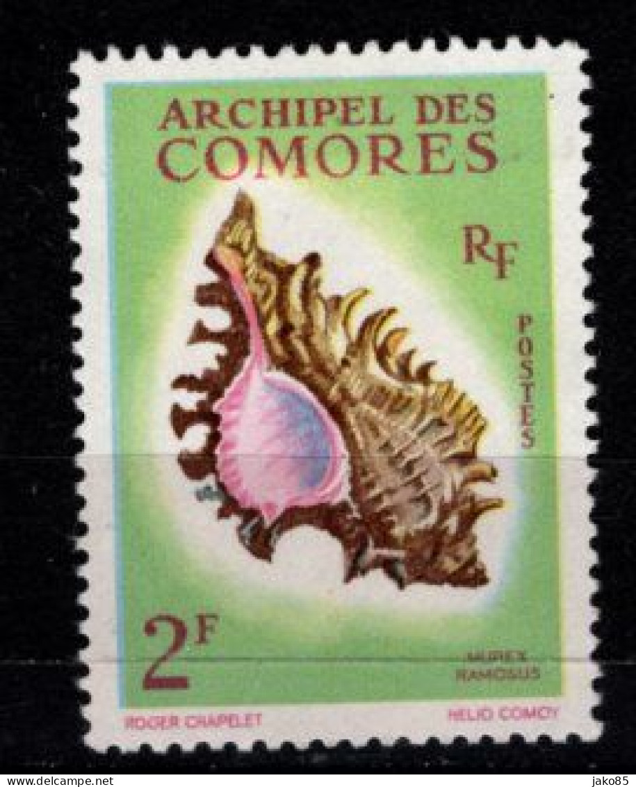 - COMORES - 1962 - YT N° 21 - ** - Coquillage - Ungebraucht