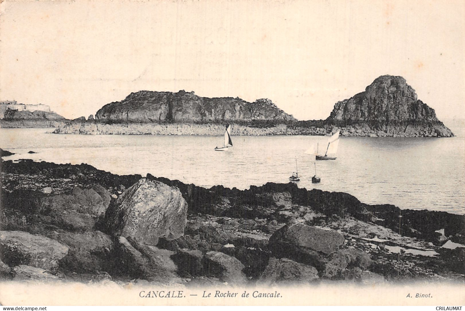 35-CANCALE-N°T5157-D/0081 - Cancale
