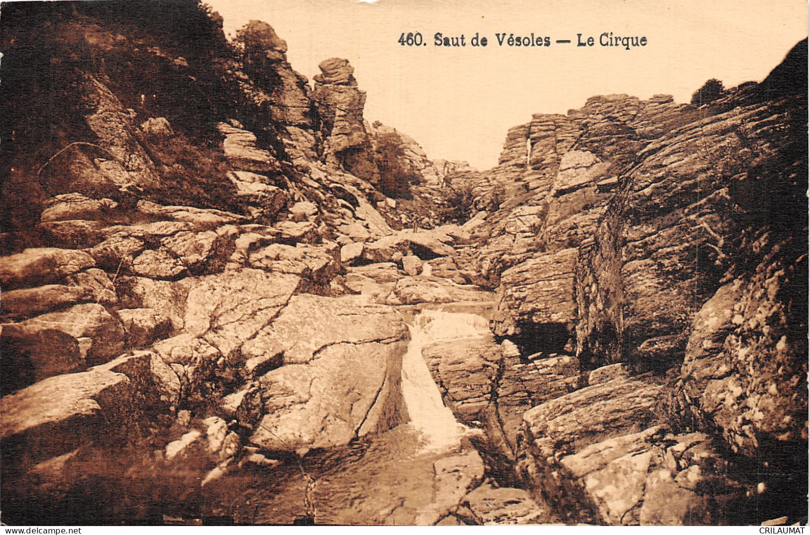 34-SAUT DE VESOLES LE CIRQUE-N°T5157-H/0345 - Otros & Sin Clasificación