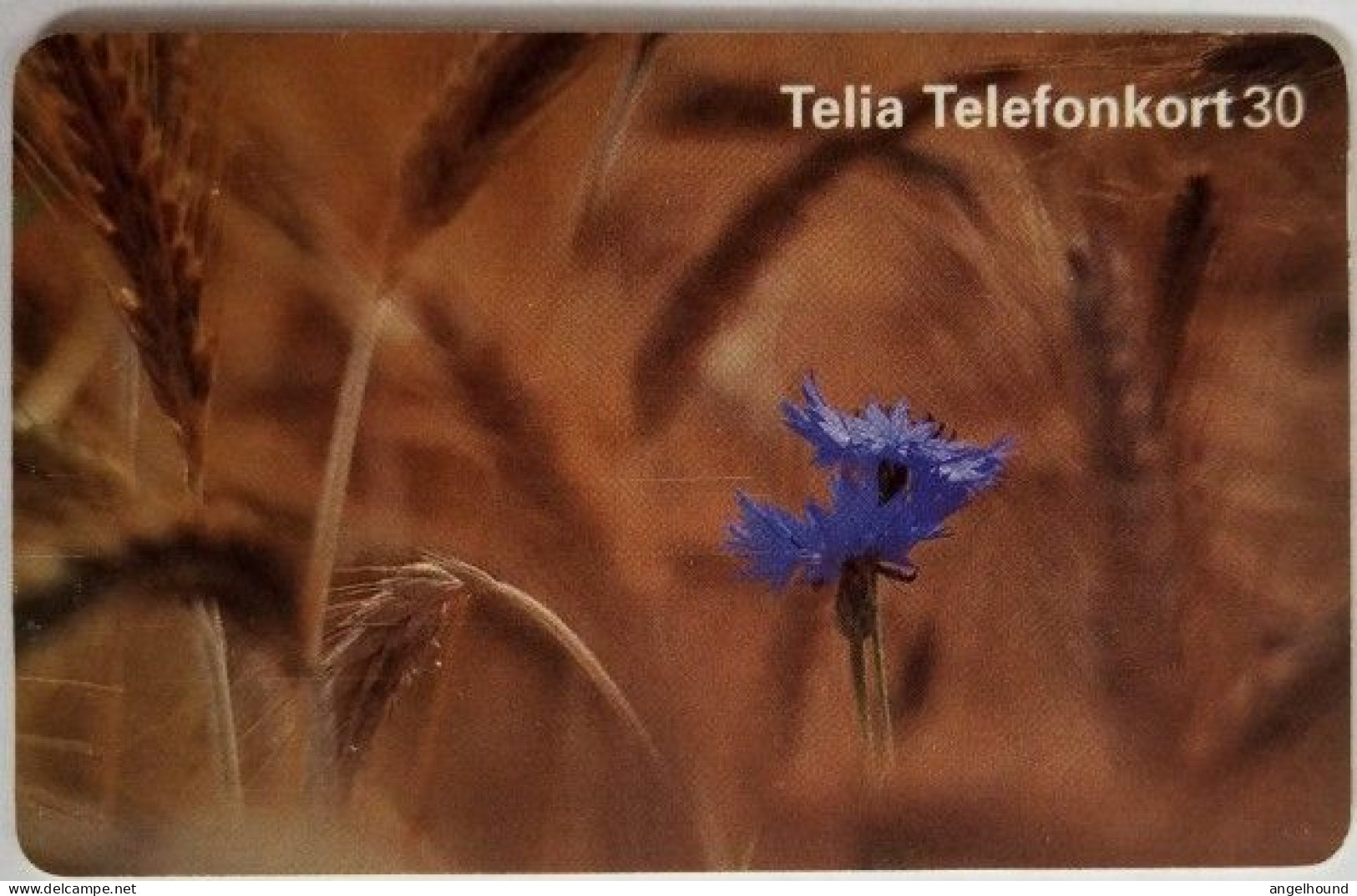 Sweden 30Mk. Chip Card - Cornflower Blaklint - Suède