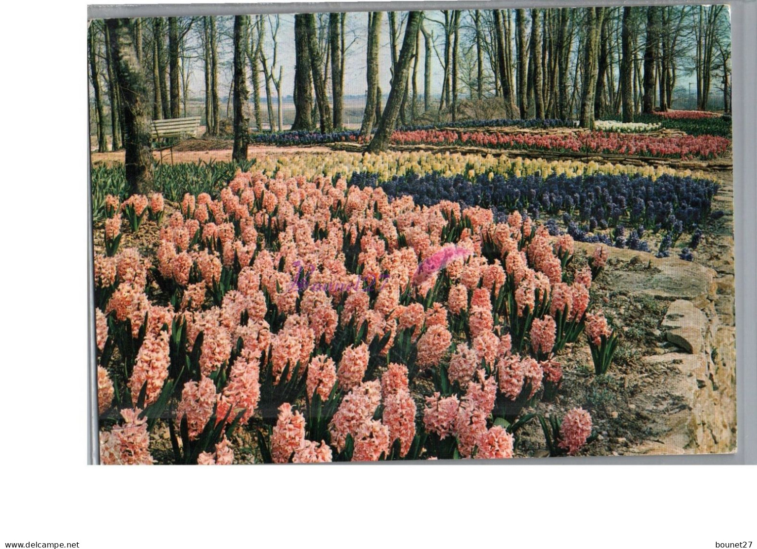 ORLEANS 45 - Floralies Internationale Octobre 1967 Le Jardin Rempli De Fleur Jacinthe Plein De Couleur - Orleans