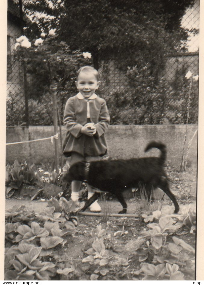 Photographie Photo Vintage Snapshot Enfant Child Chien Dog  - Sonstige & Ohne Zuordnung