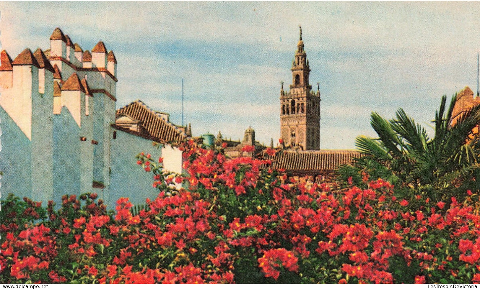 ESPAGNE - Sevilla - La Giralda Desde El Alcazar - Carte Postale - Sevilla