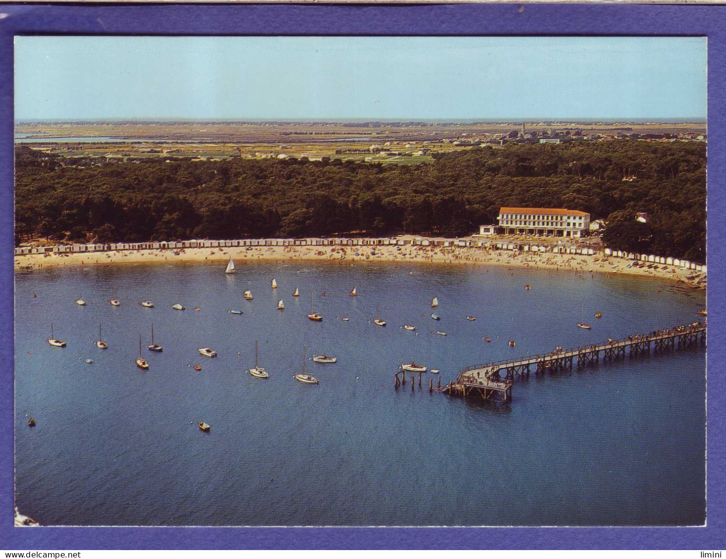 85 - ILE De NOIRMOUTIER - VUE AERIENNE De La PLAGE Des DAMES Et Du BOIS De La CHAISE  - - Ile De Noirmoutier