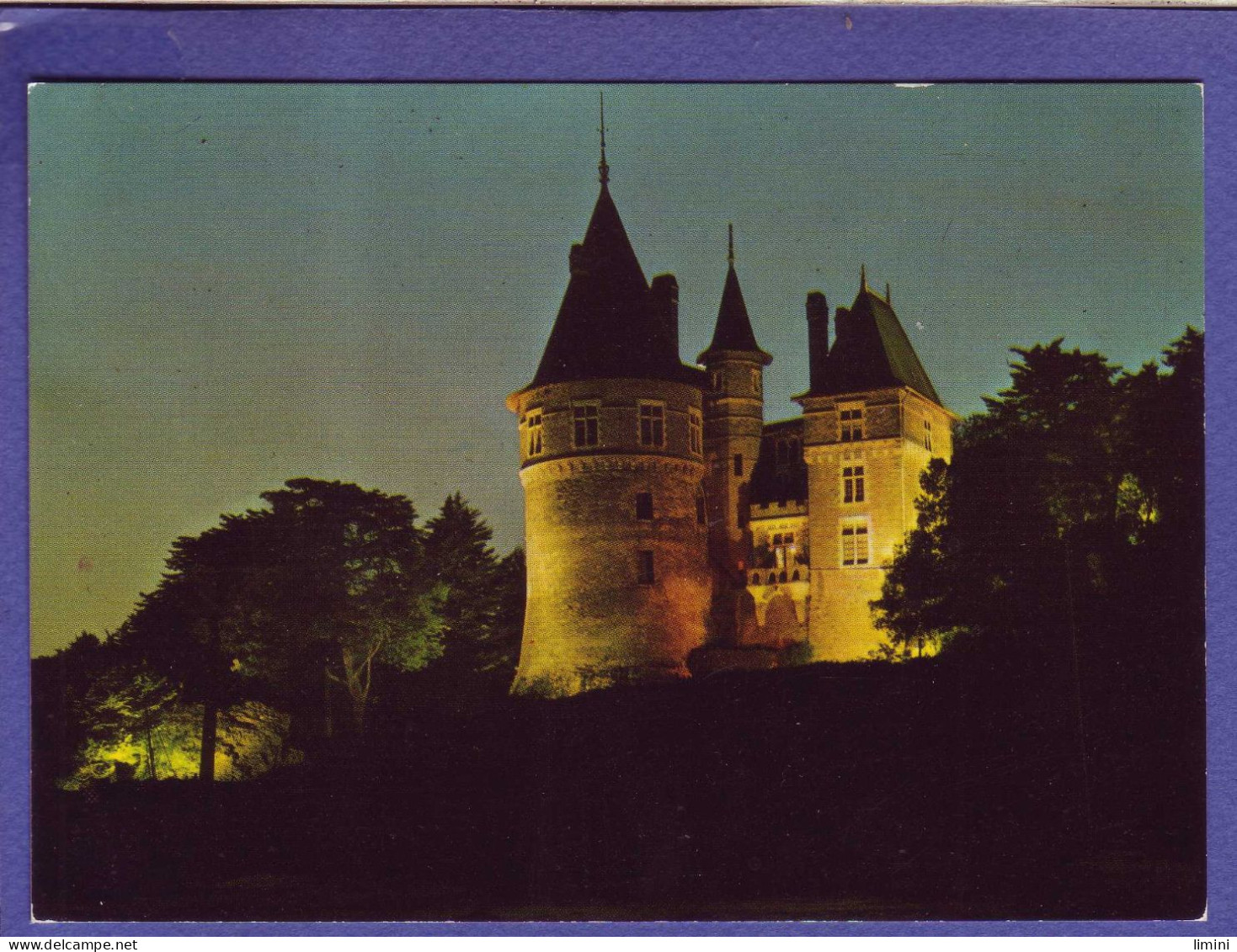 44 - PORNIC - CHATEAU De NUIT -  - Pornic