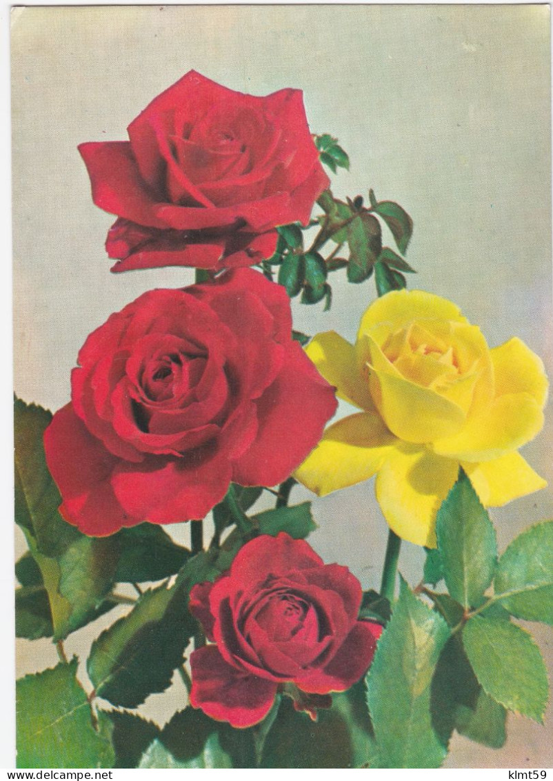 Bouquet De Roses - Fleurs