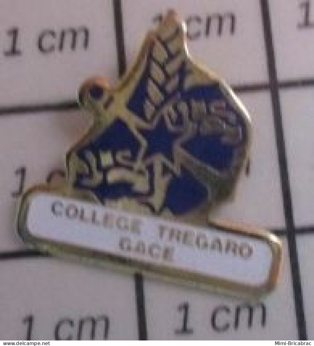 912c Pin's Pins : BEAU ET RARE : ADMINISTRATIONS / COLLEGE TREGARD GACE ORNE ANCRE DE MARINE - Administration