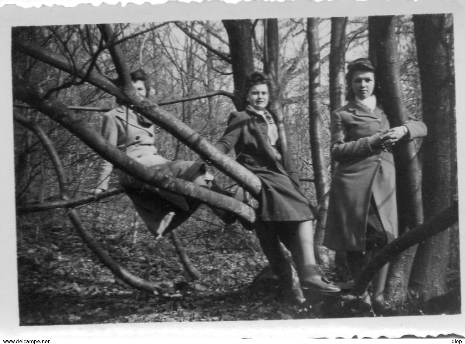 Photo Vintage Paris Snap Shop - Elancourt Femme Arbre Tree Perch&eacute; - Lieux