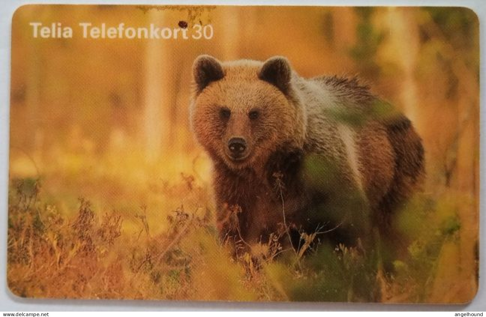 Sweden 30Mk. Chip Card - Brown Bear - Schweden