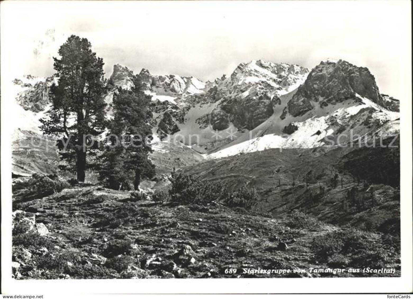 11696316 Tamangur Starlexgruppe Fuldera - Sonstige & Ohne Zuordnung