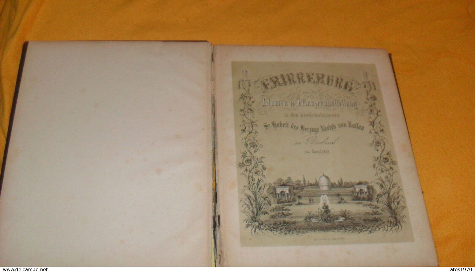 LIVRE ANCIEN DE 1854 AVEC 9 LITHOGRAPHIES. ZUM ANDENKEN...CHATEAU DE BRIEBRICH, RUINES DE MOSBACH... - Litografia