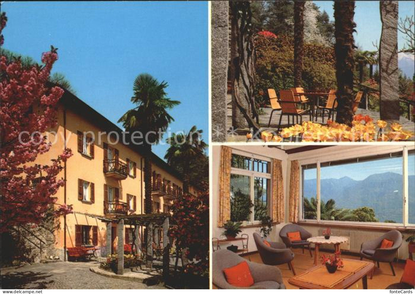 11692237 Monti Locarno TI Pension Tabor Locarno - Otros & Sin Clasificación