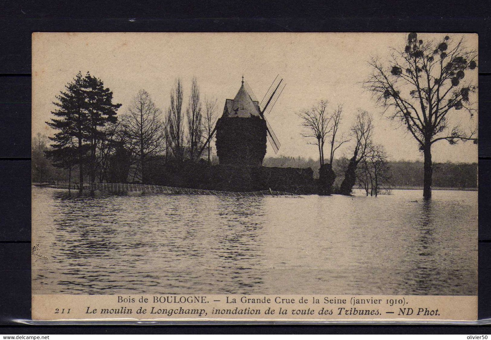 Bois De Boulogne - La Grande Crue De La Seine - Janvier 1910 - - Parcs, Jardins